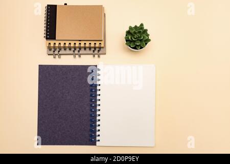 vista dall'alto: pila di notebook eco-compatibili, con spazio per la copia, realizzati in carta riciclata su sfondo pastello. Mockup per i vostri progetti Foto Stock