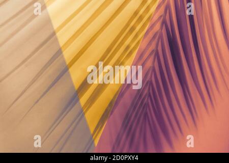 Ombre di foglia di palma su sfondo geometrico di colori arancio, rosa e viola. Stile di posa piatto. Immagine a toni Foto Stock