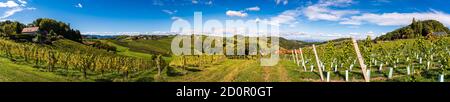 Vista panoramica dalla famosa strada del vino della stiria meridionale. Ratsch, Austria turismo. Foto Stock