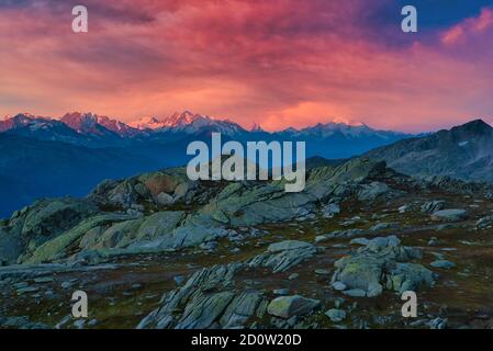 Atmosfera mattutina nella zona di Grimsel, vicino a Nägelisgrätli, con vista sui monti Weissmies, Cervino, Weisshorn, Canton Vallese, Svizzera, Europa Foto Stock