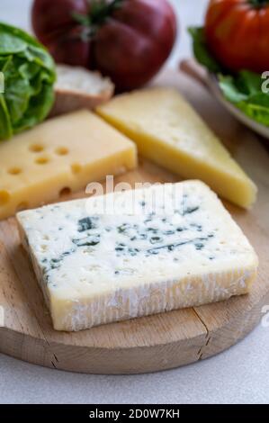 Collezione di formaggi, formaggio francese fol epi con molti buchi, etorki, tomo noire des pyrenees e ossau iraty formaggi primo piano Foto Stock