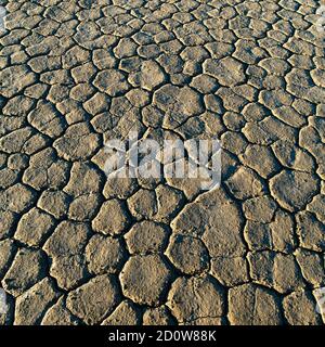 Le pietre di vela di Playa Racetrack. Foto Stock