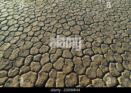 Le pietre di vela di Playa Racetrack. Foto Stock