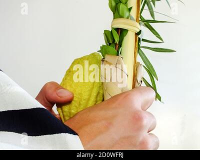 Uomo ebreo con simboli tradizionali (le quattro specie): Etrog, lulav, hadass, aravah Foto Stock