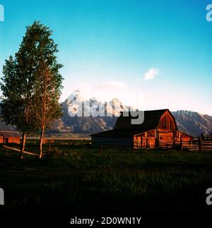 Vista iconica del Mormon Barn mentre il sole sorge Il Parco Nazionale del Grand Teton Foto Stock