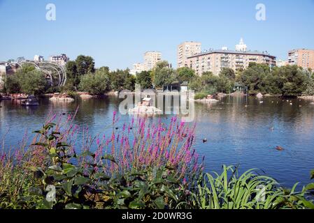 MOSCA / RUSSIA - 27 AGOSTO 2018: Vista dello stagno nello zoo di Mosca Foto Stock