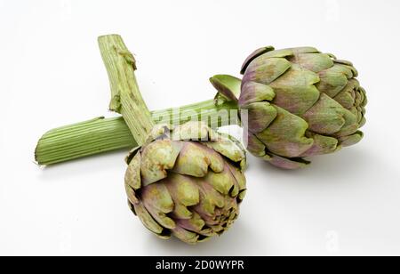 Due carciofi freschi e organici con un pezzo di gambo su una superficie bianca. Foto Stock