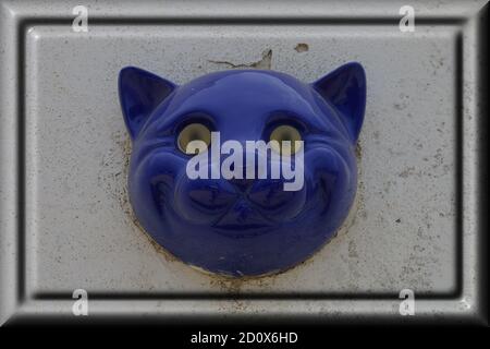 Rendering 3D. Sezione testa in ceramica blu Cat Foto Stock