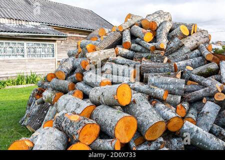 Legna da ardere secca tagliata e accatastata in campagna. Scorta palo di legname, tritato alberi Foto Stock