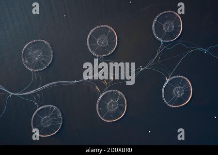 Pesce fattoria salmone reti rotonde in ambiente naturale Loch awe Arygll e Bute Scotland Foto Stock