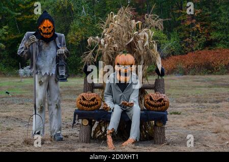 Mostra spaventosa di Halloween nel Maine rurale con scopatori di mais, jack o' lanterna intagliata zucche seduta in campo, Stati Uniti Foto Stock