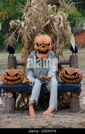 Una spaventosa mostra di Halloween nel Maine rurale con mandrini di mais, zucche intagliate e ghoul seduto a Field, USA Foto Stock