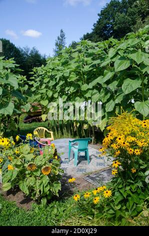 Sala girasoli in giardino per bambini con sedie colorate in plastica Foto Stock