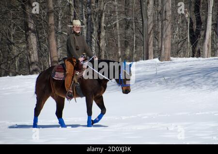 Donna cowgirl in cappello cowboy cavalcando il suo cavallo da quarterhorse in inverno, Maine, USA Foto Stock