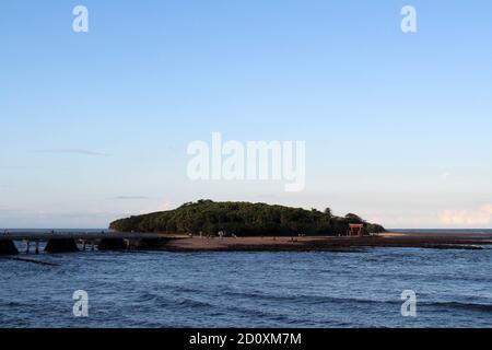 Isola di AOSHIMA di Miyazaki, e la porta torii shinto. Preso in agosto 2019. Foto Stock