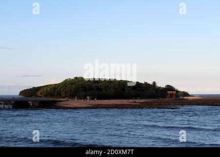 Isola di AOSHIMA di Miyazaki, e la porta torii shinto. Preso in agosto 2019. Foto Stock