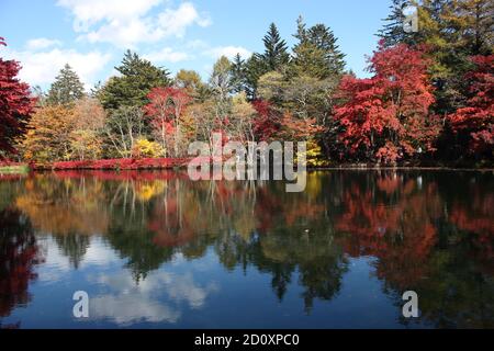 Bellissimo paesaggio autunnale a Kumobaike Pond, Karuizawa, Nagano, Giappone Foto Stock