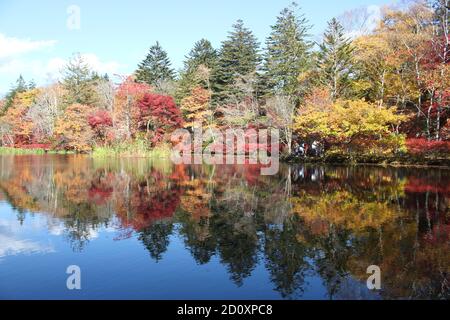 Bellissimo paesaggio autunnale a Kumobaike Pond, Karuizawa, Nagano, Giappone Foto Stock