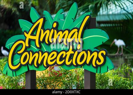 Collegamenti con gli animali, un centro per interazioni ravvicinate con gli animali e opportunità di conservazione nel mondo reale a Busch Gardens Tampa Bay a Tampa, Florida. (STATI UNITI) Foto Stock