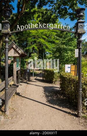 D-Borken, D-Borken-Weseke, Parco Naturale Hohe Mark Westmuensterland, Muensterland, Westfalia, Renania Settentrionale-Vestfalia, NRW, giardino di apotecario presso la Casa dei nativi nel Parco di Quellengrund, fitomedicina Foto Stock