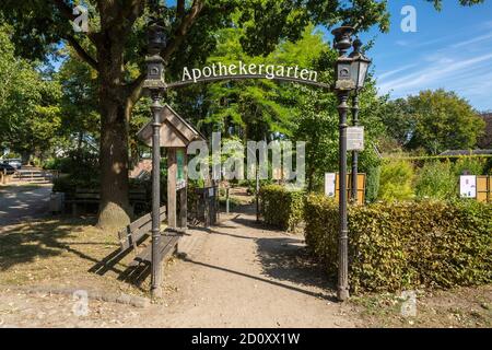 D-Borken-Weseke, Parco Naturale Hohe Mark Westmuensterland, Muensterland, Westfalia, Renania Settentrionale-Vestfalia, NRW, giardino di apotecario presso la Casa dei nativi nel Parco Quellengrund, fitomedicina Foto Stock