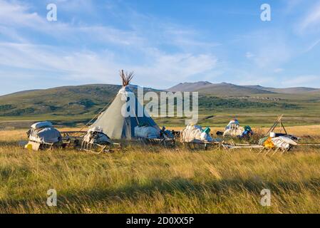 Vista del moderno campo di renna in una soleggiata mattina di agosto. Yamal, Russia Foto Stock