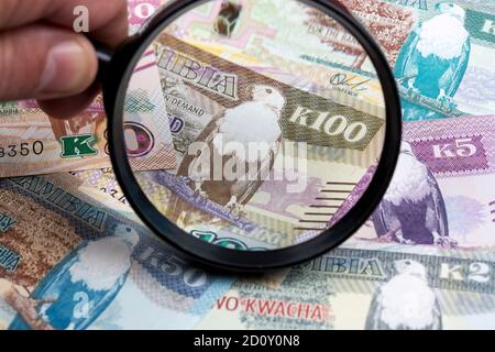 Kwacha Zambian in una lente d'ingrandimento uno sfondo di affari Foto Stock