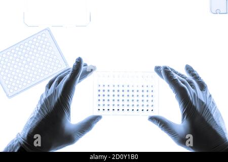 I campioni di DNA vengono caricati su una piastra a 96 pozzetti per l'analisi PCR Foto Stock