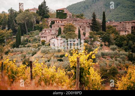 Toscana, vigneti in autunno. Italia Foto Stock