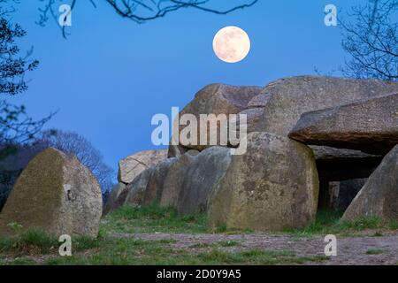 Megalith D50 dolmen a luna piena a Noord-Sleen Drenthe Foto Stock