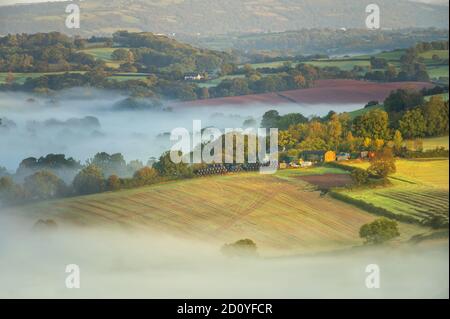 Newport Caerleon in FOG, Galles del Sud Foto Stock