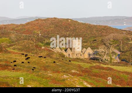 Sherkin Island, Cork, Irlanda. 03 ottobre 2020. Una veduta dell'Abbazia che fu fondata nel 1460 sull'Isola di Sherkin, Co. Cork, Irlanda. - Credi Foto Stock