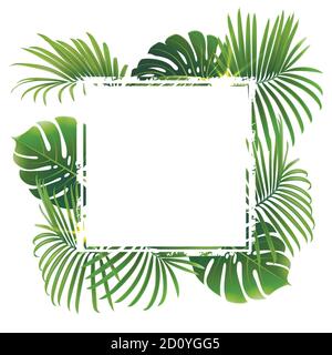 banner con piante tropicali e rami di palma su un bianco sfondo Illustrazione Vettoriale