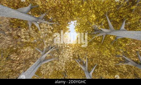 Baldacchino di faggio incredibile con tronchi d'oro autunno paesaggio natura rendering 3d Foto Stock