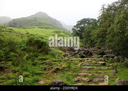 Percorso su Stickle Ghyll a Stickle Tarn da Dungeon Ghyll Parcheggio Lake District Foto Stock