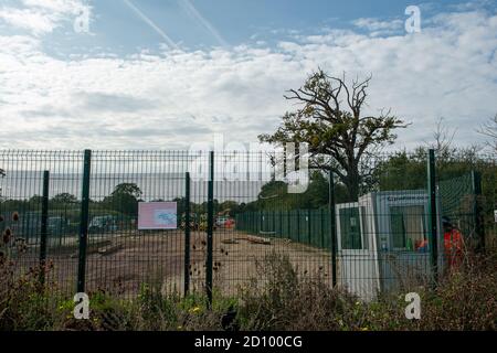 Harefield, Uxbridge, Regno Unito. 28 Settembre 2020. Un solo albero maturo manca appena di essere abbattuto come è piedi fuori terra in Harvil Road in Harefield che ora è stato rilevato da HS2 per lavori di costruzione sul collegamento ferroviario ad alta velocità 2 da Londra a Birmingham. I lavori di costruzione dell'HS2 mettono a rischio 693 siti faunistici, 108 boschi antichi e 33 siti di interesse scientifico speciale. Credito: Maureen McLean/Alamy Foto Stock