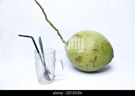 bicchiere vuoto con cocco verde isolato su sfondo bianco. bevanda fresca naturale Foto Stock