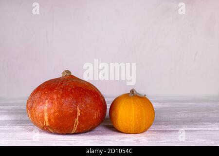 Due zucche arancioni e gialle di diverse dimensioni e forma su sfondi bianchi. Decorazione delle zucche di vacanza Foto Stock