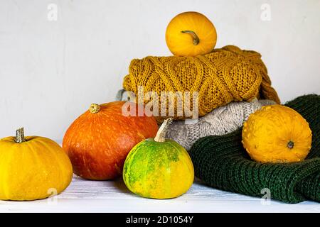 Zucche e cardigan lavorato a maglia. Composizione autunnale concettuale con zucche di diverse dimensioni, forme e colori e pullover invernali a maglia. Foto Stock