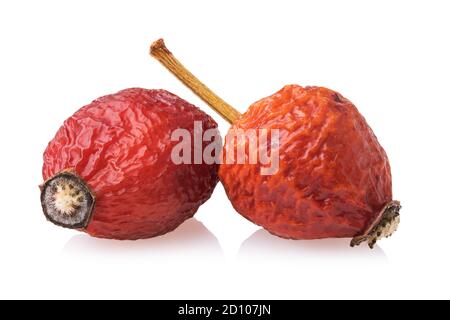 Due bacche di rosa appassita isolate su sfondo bianco. Impilamento di foto Foto Stock