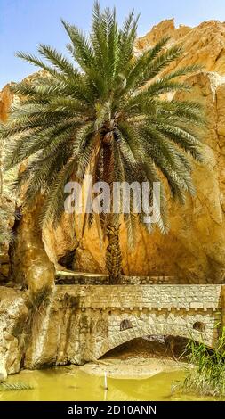 Oasi di montagna Chebika nel deserto del Sahara. Tunisia Foto Stock