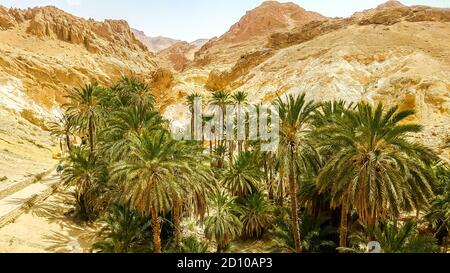 Oasi di montagna Chebika nel deserto del Sahara. Tunisia Foto Stock