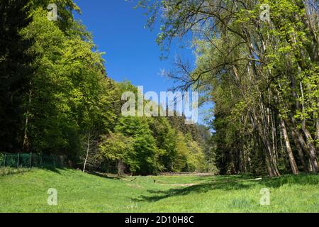 Europa, Lussemburgo, Grevenmacher, Beaufort, Valle del fiume Haupteschbaach vicino al castello di Beaufort Foto Stock