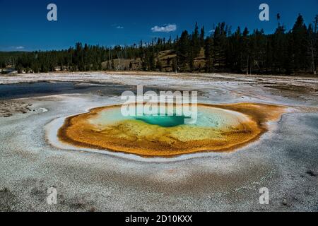 Chromatic Spring, Upper Geyser Basin, Yellowstone National Park, Wyoming, USA Foto Stock