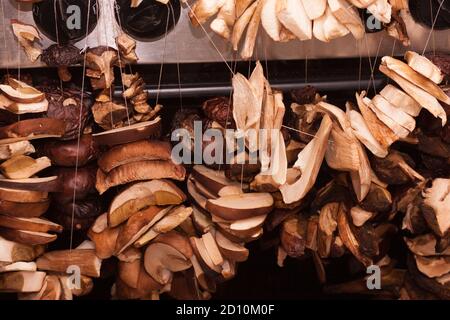 Diversi tipi di foresta di funghi appendere su una corda, casa che asciuga. Foto Stock