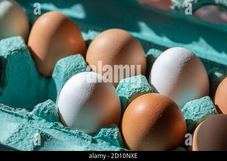 Fotografia delle uova ben esposte in un cartone o in una cassa di uovo. Foto Stock