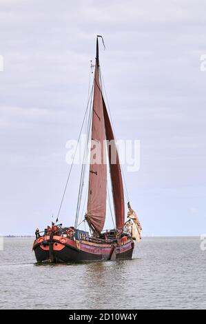 Nave a fondo piatto con vele rosse sull'Ijsselmeer Foto Stock