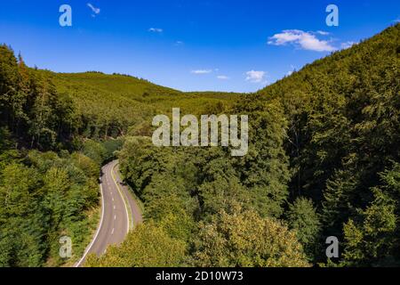 Vista aerea di una strada di montagna con pista ciclabile Attraverso una foresta mista europea sana Foto Stock