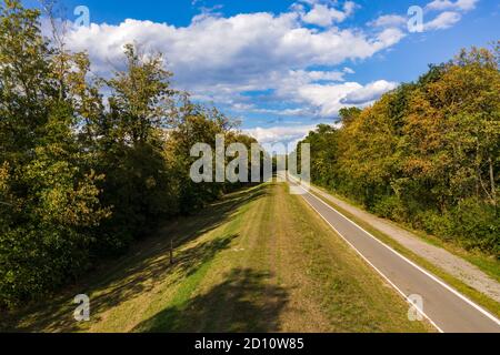 La foresta mista sulla diga lungo il Reno in Germania attraversata da una pista ciclabile asfaltata Foto Stock