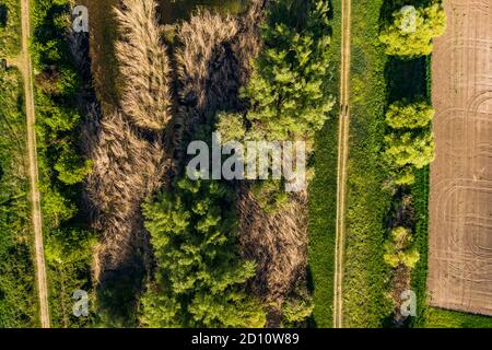 Vista aerea di un sentiero escursionistico sulla diga di un flusso con un biotopo naturale Foto Stock